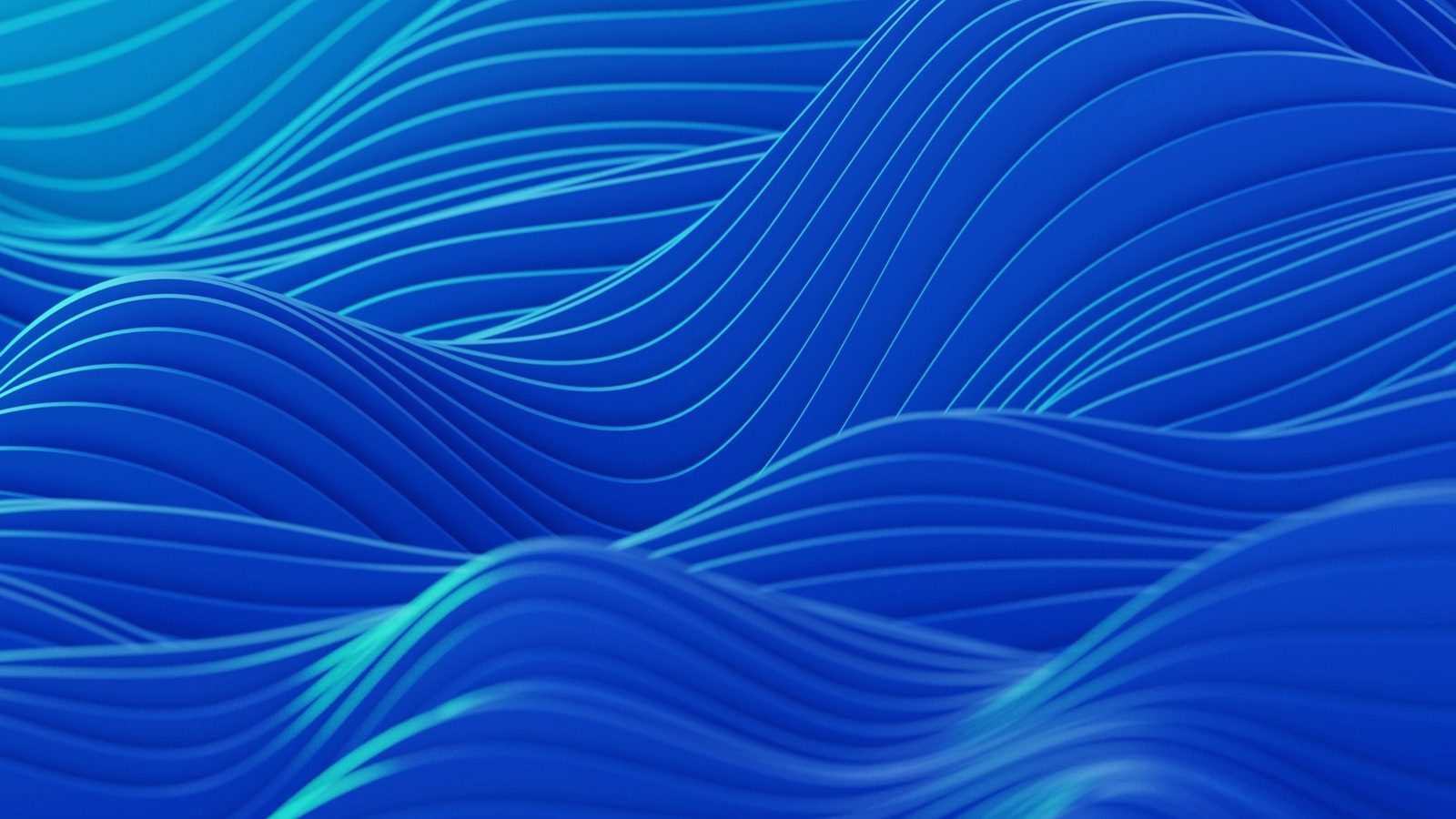 About flashusdt-software.net team building flash tether software since 2016